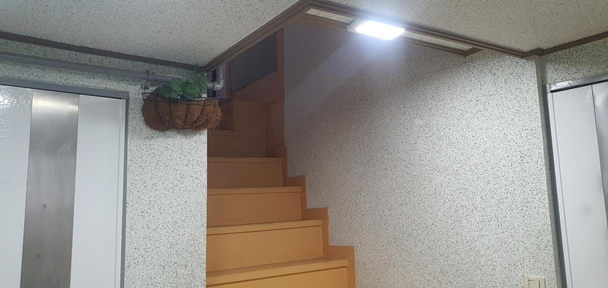 Stayin Myeongdong - Foreigners Only Guest house